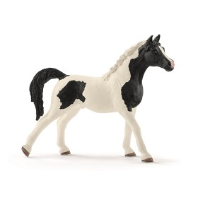 Bilde av Schleich - Horse Club - Pintabianhingst