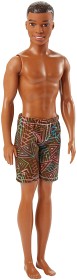 Bilde av Barbie - Water Play Ken