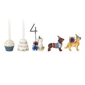 Bilde av Bloomingville Salve Birthday Decoration