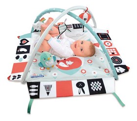 Bilde av Clementoni Black & White Babygym
