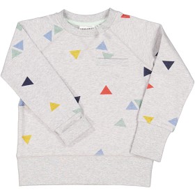 Bilde av Geggamoja College sweather (Grey triangle)