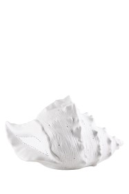 Bilde av Globen Lighting Bordslampa Seashell Vit