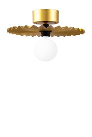 Bilde av Globen Lighting Plafond/Vägg Omega 35 Borstad Mässing