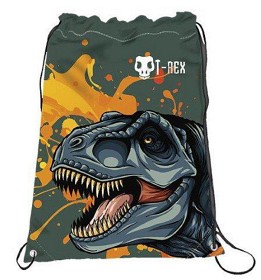 Bilde av Treningsveske T-rex