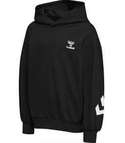 Bilde av Hummel hmlDUE HOODIE (Black)