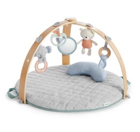 Bilde av Ingenuity Babygym Reversible