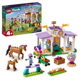 Bilde av LEGO Friends 41746 Hestetrening