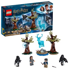 Bilde av LEGO Harry Potter 75945 - Skytsverge