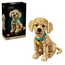 Bilde av LEGO Icons 11384 Golden retriever-valp
