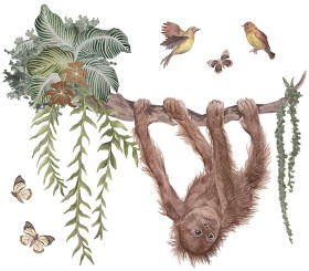 Bilde av Lilipinso Wallstickers - Orangutang
