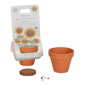 Bilde av Little Dutch Dyrkesett Sunflower