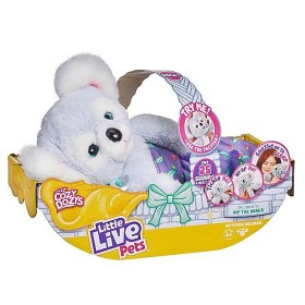 Bilde av Little Live Pets Cozy Dozy Koala