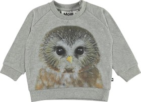 Bilde av Molo Disco Sweatshirt Baby Owl (Grå)