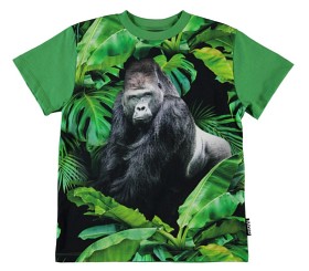 Bilde av Molo Roxo T-shirts (Gorilla)