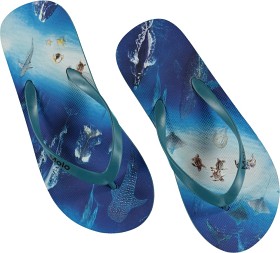 Bilde av Molo Fli flops Zeppo (Above Ocean)