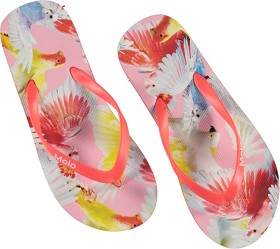 Bilde av Molo Fli flops Zeppo (Cockatoos)