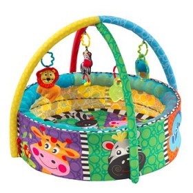 Bilde av Playgro - Ball Activity Nest 