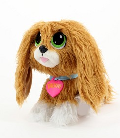 Bilde av Rescue Runts (Spaniel)