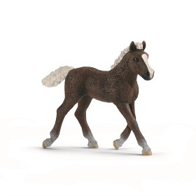 Bilde av Schleich Farm World 13899 Schwarzwaldföl