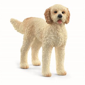 Bilde av Schleich Farm World 13939 Goldendoodle