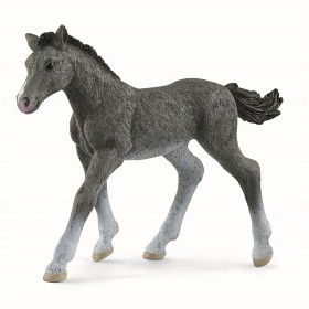 Bilde av Schleich Horse Club 13944 Trakehnare-føll