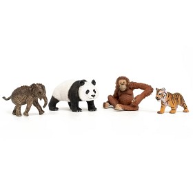 Bilde av Schleich Wild Life "Asia" Starter Set