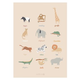 Bilde av Sebra Poster Wildlife