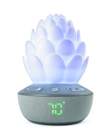 Bilde av Skip Hop Succulent Glow Nattlampe med gråtesensor