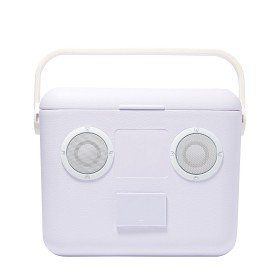 Bilde av  Sunnylife Beach Kjøleboks med Høyttaler (Rio Sun/Pastel Lilac Cream)