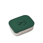 Liewood  Arthur Matboks Crocodile (Garden Green)